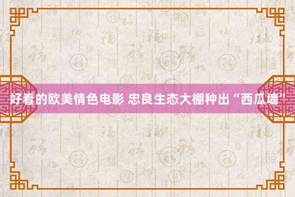 好看的欧美情色电影 忠良生态大棚种出“西瓜墙”