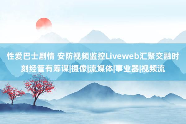 性爱巴士剧情 安防视频监控Liveweb汇聚交融时刻经管有筹谋|摄像|流媒体|事业器|视频流