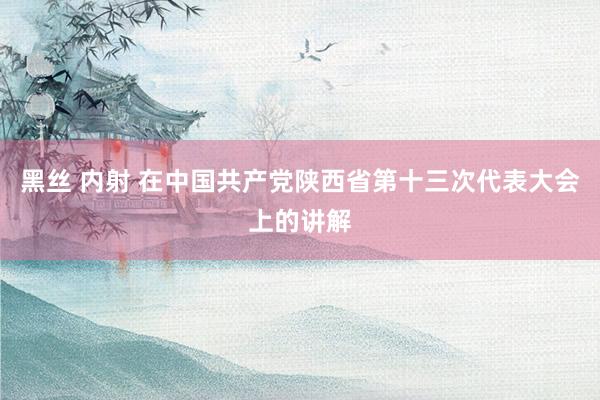黑丝 内射 在中国共产党陕西省第十三次代表大会上的讲解